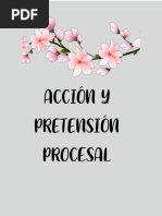 Accion y Pretension Procesal