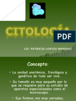 CITOLOGÍA - Diapositivas