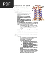 Características Particulares de Cada Grupo Vertebral