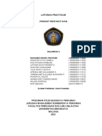 Laporan Praktikum Parasit Penyakit Ikan: Kelompok 3 Rakhmad Ndaru Pratama (195080500111055)