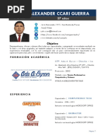 Curriculum Vitae - Julio - Ccari Oficial