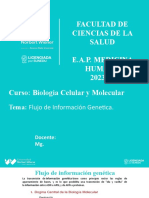 Semana 13 - Flujo de Informacion Genetica