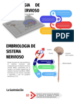 SNC Embriologia