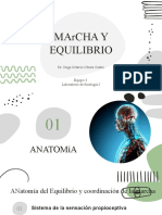 Laboratorio de Fisio I. Marcha y Equilibrio