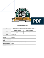 Informe de Práctica