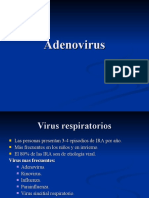 Adenovirus 1