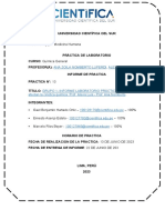 Factores Que Afectan La Cinetica Quimica PRACTICA 13