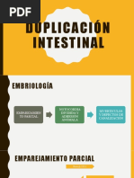 Duplicación Intestinal