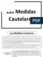 Esquema de Las Medidas Cautelares, Denisse