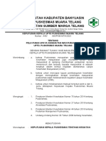 2.6.2 B SK Pelayanan UKM Di Puskesmas