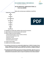 Examen Ciclo Krebs