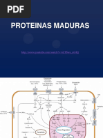 8 - Proteinas, Niveles Estructurales, Priones, Hbpatías