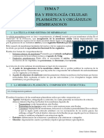 Esquema Resumen 7