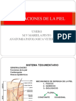 Sistema Tegumentario-Anatomia Patológica