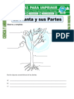 Ficha de La Planta y Sus Partes para Tercero de Primaria