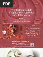 Presentacion Tesis Chagas