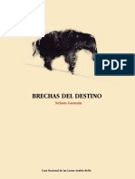 Brechas Del Destino - Nelson Guzmán