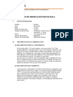 Reporte de Observación de Conducta