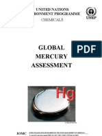 Global Mercury Assessment