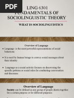 LING 6301 Fundamentals of Sociolinguistics Theory. 1