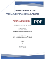 Practica Calaificada 01 - Denuncia Por Violencia Familiar