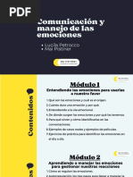 Comunicación y Manejo de Las Emociones - Academia Mai Pistiner