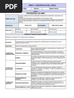 Perfil Residente de Obra