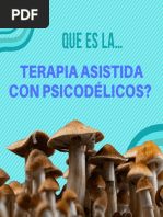 Que Es La Terapia Psicodélica?