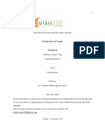 Presupuesto de Capital - Informe Escrito