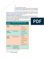 UVEITIS