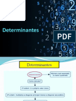 04 - 3 EM - Resumo - Determinantes