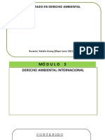 Derecho Internacional Ambiental Módulo 3 - Diplomado en D.A.