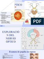 EXPLORACION DEL NERVIO OPTICO Final