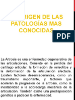 Origen de Las Principales Patologias