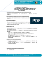 TDR - Docx Responsable