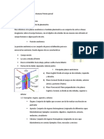 Biologia Humana Guia Primer Parcial