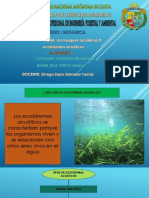 Sustentacion Sobre Bosques Acuaticos Botanica 2021