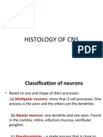 Lecture 30 Histology of Cns