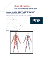 Sistema Circulatorio