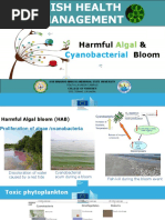 R1 Harmful and Toxic Algae 1