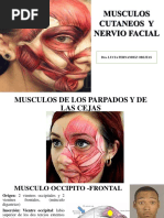 Musculos de La Mimica y Nervio Facial-Teorica-2022 - 230417 - 111017