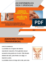 ADENOMECTOMIA TRANSVESICALl