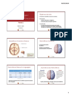 Slides - Neuropsicologia I