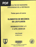 Mecánica de Fluidos HIDROSTÁTICA Y CAPILARIDAD Julio Borghi (Universidad de La República Oriental