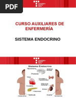 Sistema Endocrino