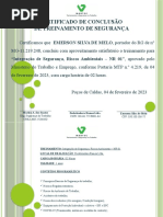 Certificado NR 01