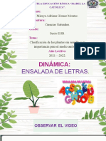 Diapositivas - PLANTAS SIN SEMILLAS