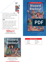 Blizzard Blackout Reader