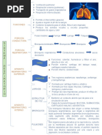 Adaptaciones Respiratorio