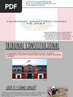 Grupo Tribunal Constitucional Perú